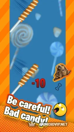 Candy Cat фото 2