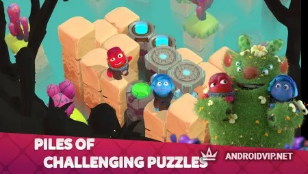 ConFusion фото 3