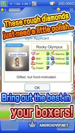 Boxing Gym Story фото 2