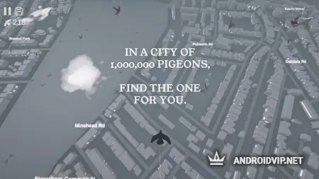 Pigeon: A Love Story фото