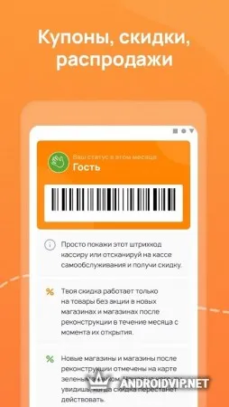 Дикси фото 2