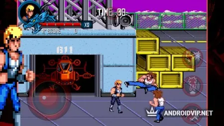 Double Dragon Trilogy фото 2