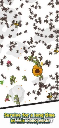 Ants and Mantis фото