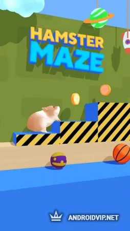 Hamster Maze фото