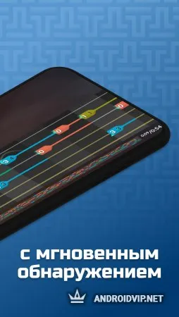 Тимбро Гитара фото 2