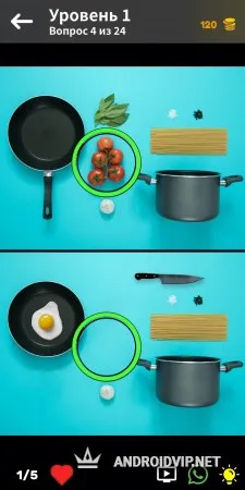 Найди отличия 2021: 1000+ уровней и фото фото 2