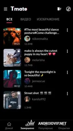 Tmate — скачать видео из TikTok фото 3