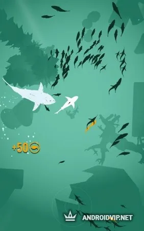 Shoal of fish фото