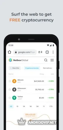 Netbox.Browser фото