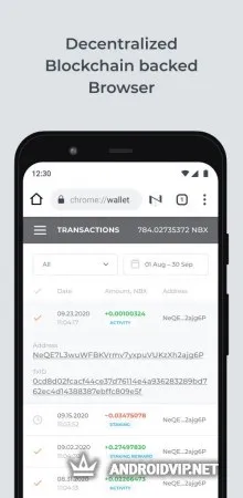 Netbox.Browser фото 2