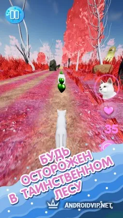 Sofia Run фото 2