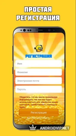 Braim - золотая птица фото 2