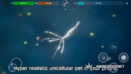 Bionix - Споры и Бактерии Эволюция Симулятор 3D фото 3