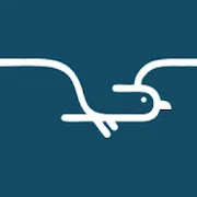 Seagull - прокат самокатов