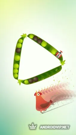 Pigeon Pop фото 2