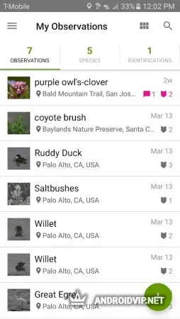 iNaturalist фото 3