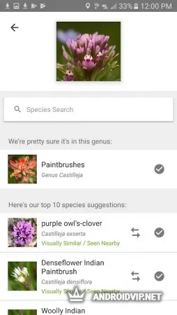 iNaturalist фото 2