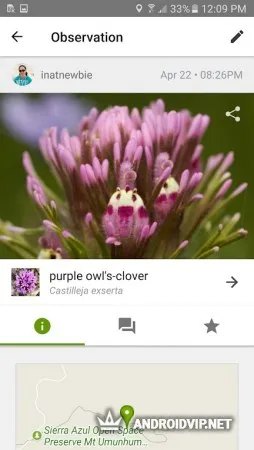 iNaturalist фото