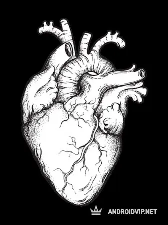 CradleOfNighmares фото 2