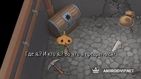 Onion of Hope фото 2