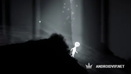 Divinest Light фото 2