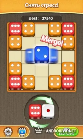 Слияние кости фото 2