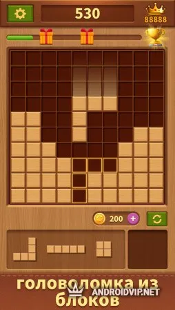 Вуди Блок фото