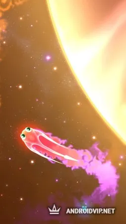 Super Starfish фото 3