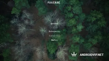 Ролевик –полное погружение фото