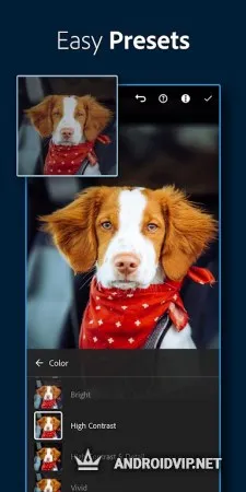 Adobe Lightroom фото 2