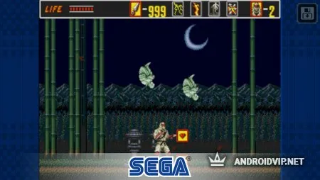 The Revenge of Shinobi фото