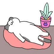 Purrfect Cats -Cats are the Best-