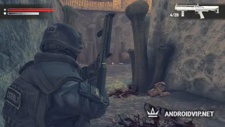 Wall of Insanity фото 2