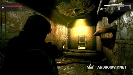 Wall of Insanity фото