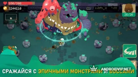 Moonlighter фото 3