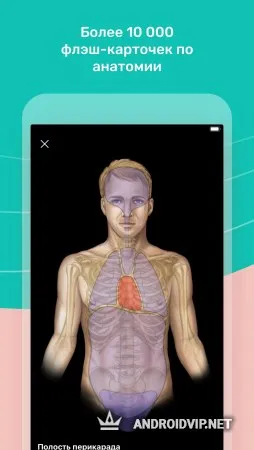 Easy Anatomy - Учи анатомию эффективно фото 3