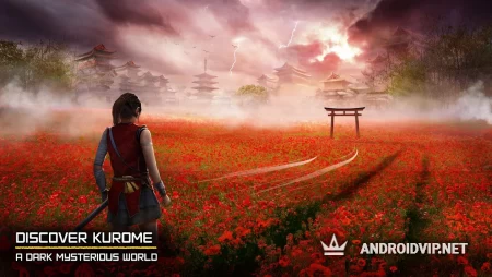 Ryuko - Legend of Shadow Hunter фото 2