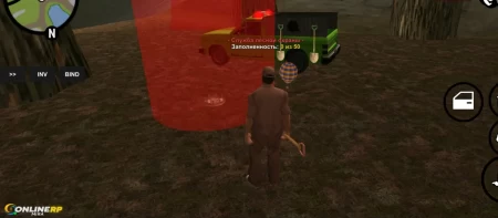 ONLINE RP фото 2