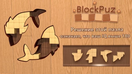 BlockPuz фото 3