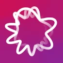 Орнамент: динамика здоровья