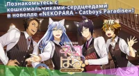 NEKOPARA - Catboys Paradise фото