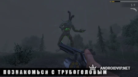 PIPE HEAD STORY фото