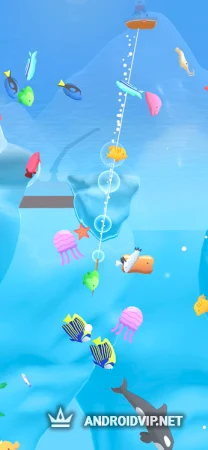 Wanted Fish фото