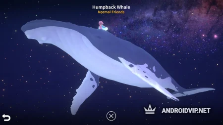 Океан - море в моем сердце фото