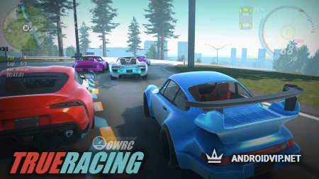 OWRC: Гонки с открытым миром фото