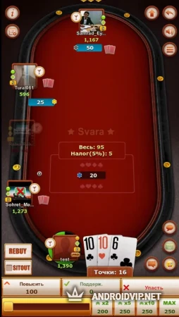 Сека ( Seka , Трынька seka-ru) фото 2