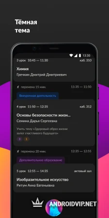 Дневник МЭШ фото 3