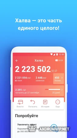 Халва от Совкомбанк фото 2