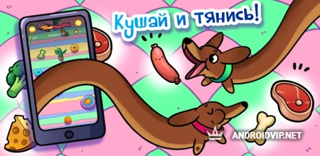 Чапитосики фото 2