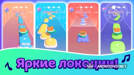 Cat-Cup Dance фото 2